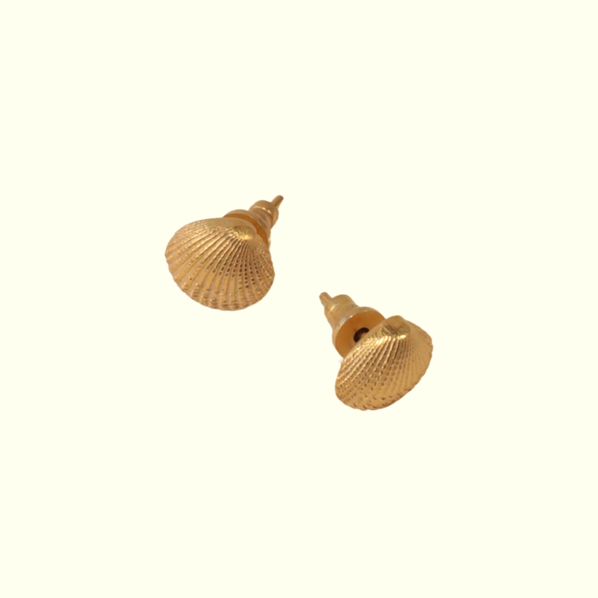 Puces d'oreilles Coquillage